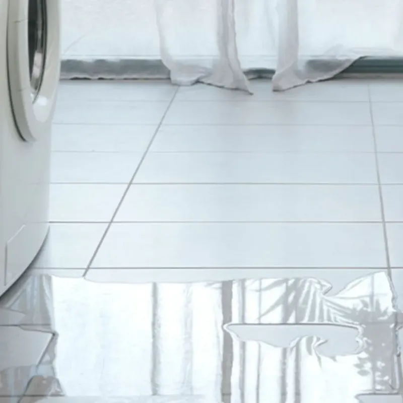 Appliance Leak Cleanup in Alvord, TX