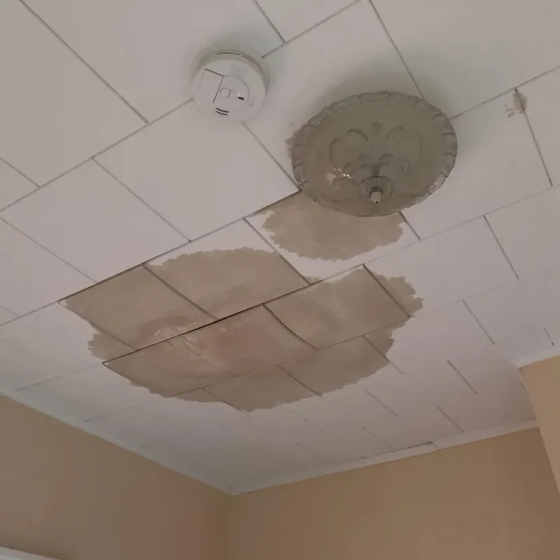 Ceiling Water Damage Repair in Alvord, TX