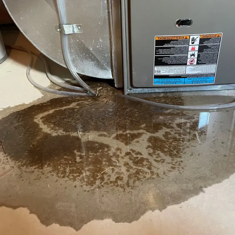 Pipe Burst and Leak Restoration in Alvord, TX