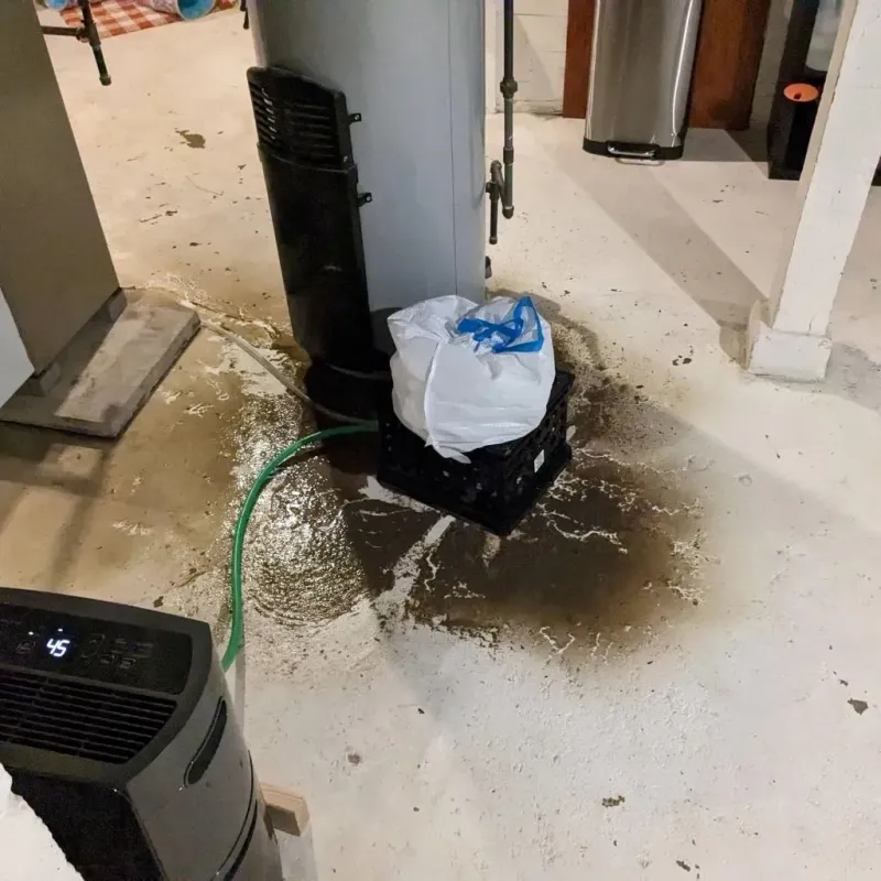Sewage Backup Cleanup Service in Alvord, TX